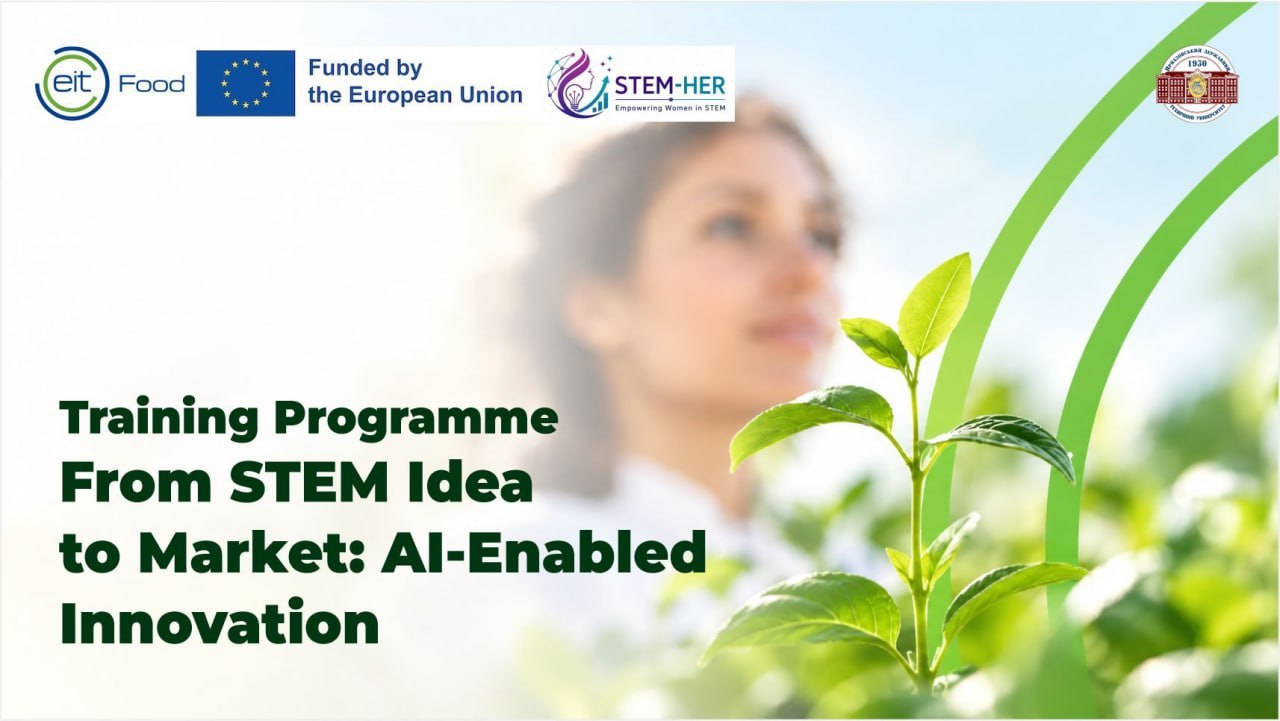 Training Programme «From STEM Idea to Market: AI-Enabled Innovation»